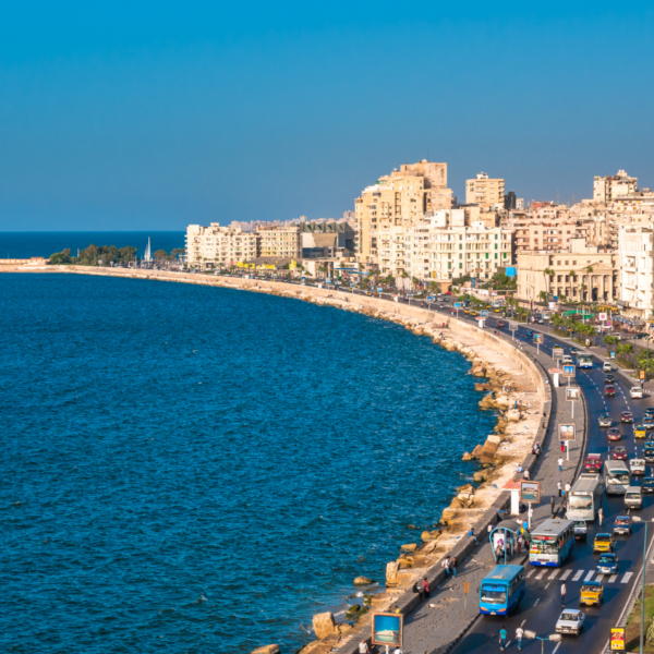 Alexandria full day tour